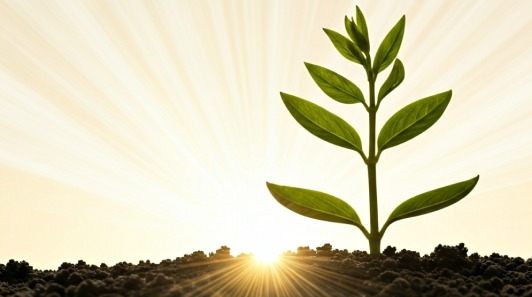 Sunday Reflections with ElsaMarie D’Silva